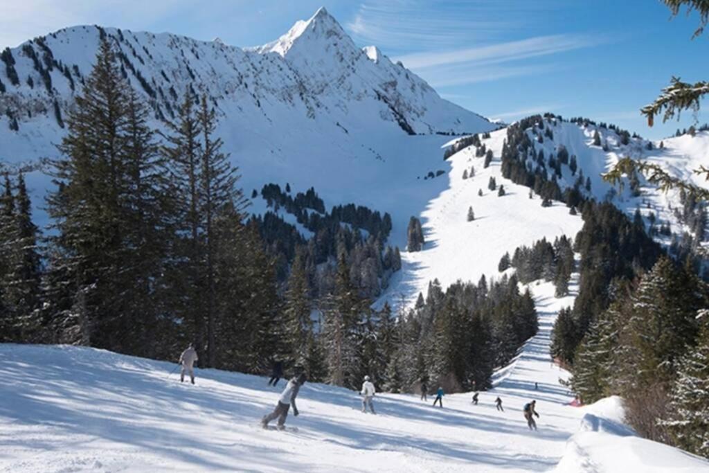 Les Cimes, Chaleureux studio 4 pers, 50m du télécabine, vue dégagée sur les pistes, DRAPS NON COMPRIS Saint-Jean-dʼAulps Extérieur photo