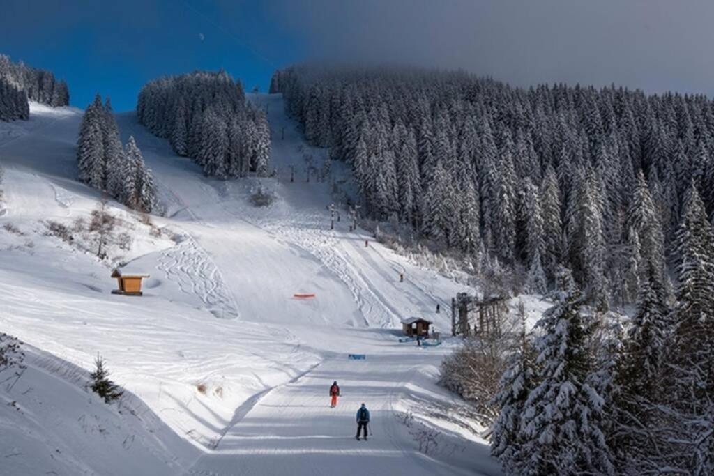Les Cimes, Chaleureux studio 4 pers, 50m du télécabine, vue dégagée sur les pistes, DRAPS NON COMPRIS Saint-Jean-dʼAulps Extérieur photo