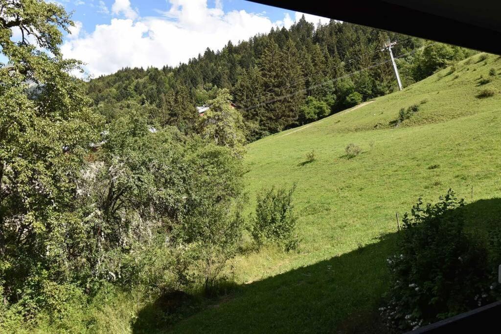 Les Cimes, Chaleureux studio 4 pers, 50m du télécabine, vue dégagée sur les pistes, DRAPS NON COMPRIS Saint-Jean-dʼAulps Extérieur photo